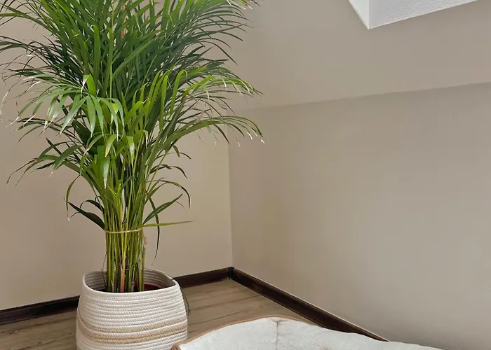 3kk Apartamento